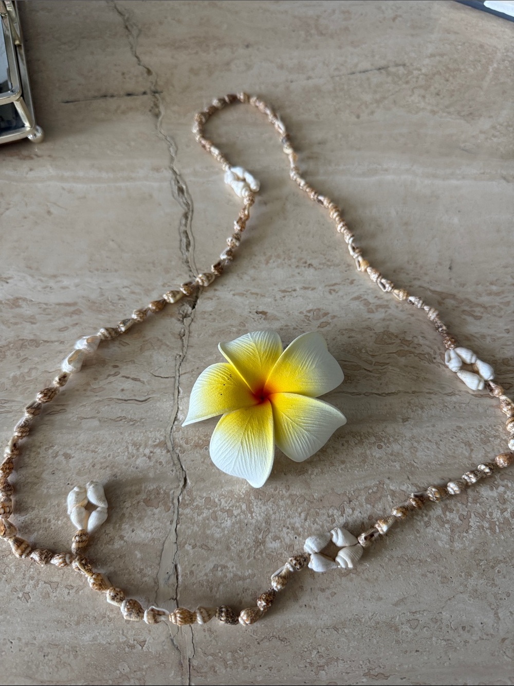 Handmade Shell Necklace in Beige and White